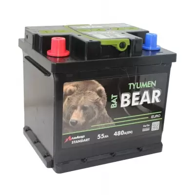 Аккумулятор BatBEAR  6ст-55 VLA Медведь BatBEAR Ca/Са кубик 55