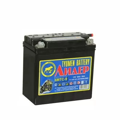 Аккумулятор Tyumen Battery Мото Лидер 6мтс-9 А Лидер ТАЗ болт 9
