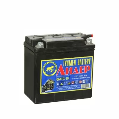 Аккумулятор Tyumen Battery Мото Лидер 6мтс-10 А Лидер ТАЗ болт 10